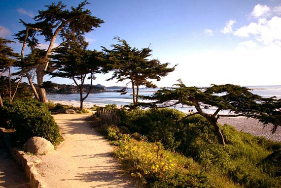 The perfect Carmel By The Sea getaway.