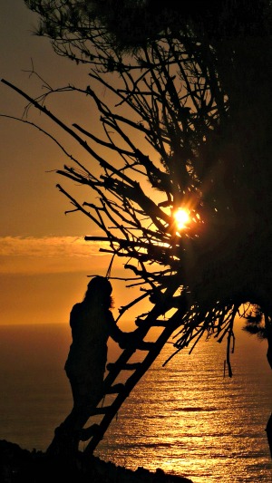 Treebones Nest At Sunset