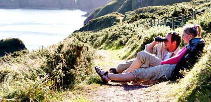 Whale Watching Along Ocean Bluffs