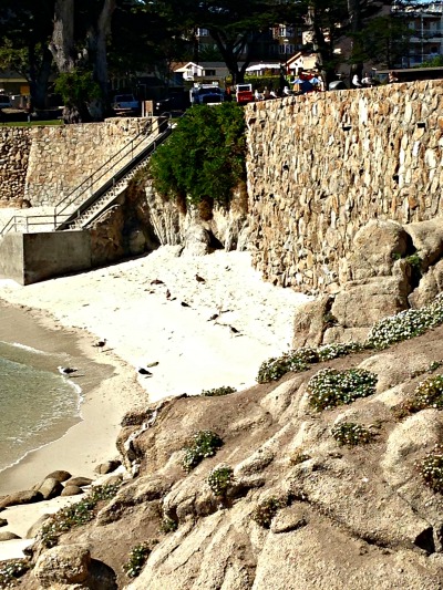 Tiny Beach At Lovers Point In Monterey
