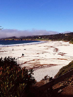 Carmel Beach