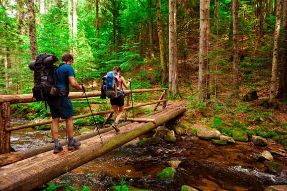 A Hike in the Redwoods near Pfeiffer State Park