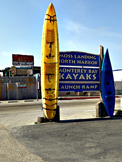 Moss Landing Kayaks