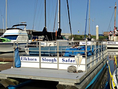 Safari Tours In Moss Landing